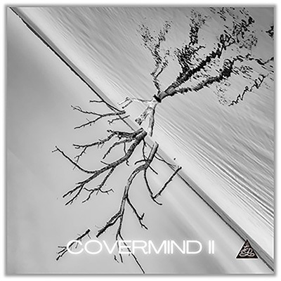 COVERMIND II