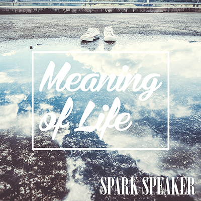 Meaning of Life 初回限定盤（CD＋DVD）