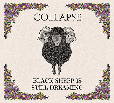 BLACK SHEEP IS STILL DREAMING